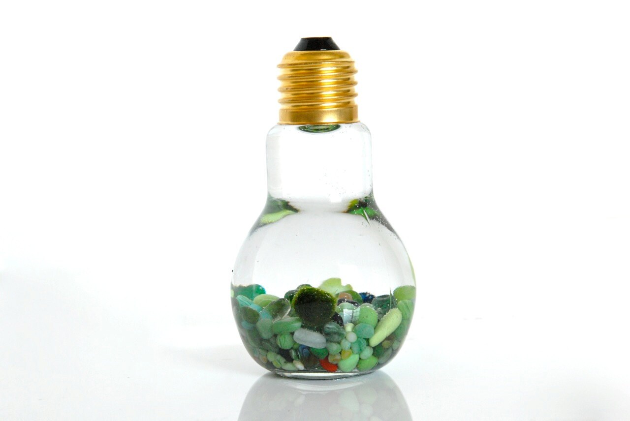 Unique Marimo Moss Ball Light Bulb Aquarium // Holiday Gift Etsy