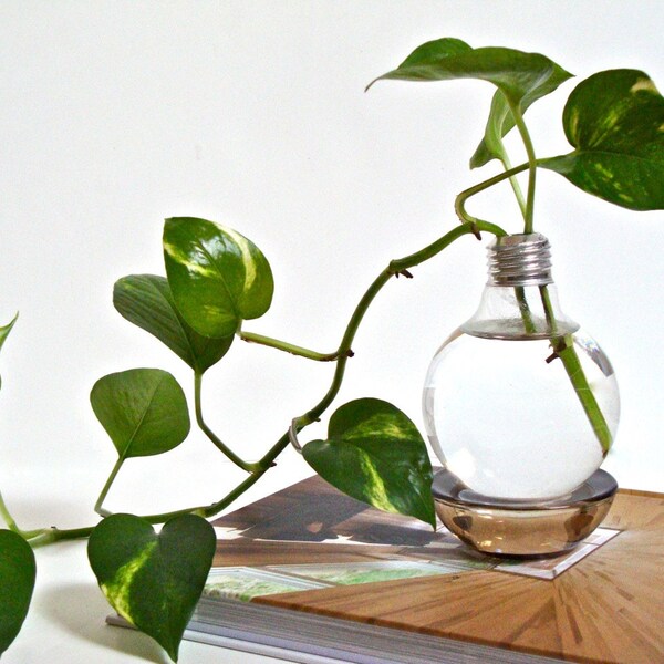 Glühbirne Vase mit braunen Base - umgewidmet, Glühbirne, Upcycled Lightbulb, Upcycled Tabelle Dekor Upcycled Home Dekor (ohne Pflanzen)