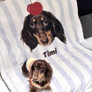 Könnte beinhalten: Ein Dackel mit Pullover sitzt auf einer gestreiften Decke mit einem passenden Hundegesicht und einem roten Apfel auf dem Kopf. Auf der Decke steht der Name "Timi".