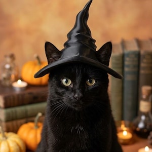 Könnte beinhalten: Eine schwarze Katze mit einem spitzen, schwarzen Hexenhut. Die Katze hat leuchtend gelb-grüne Augen und lange Schnurrhaare, wobei ihre Ohren unter der Krempe des Hutes liegen. Der Hut hat eine klassische Kegelform mit einer leicht gebogenen Spitze.