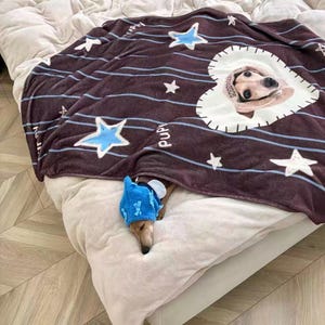 Könnte beinhalten: Eine braune Decke mit blauen Sternen und einem herzförmigen Hundeporträt. Ein kleiner Hund mit blauem Hut liegt unter der Decke auf einem Bett mit weißer Bettdecke. Auf der Decke ist das Wort "pup" aufgedruckt.