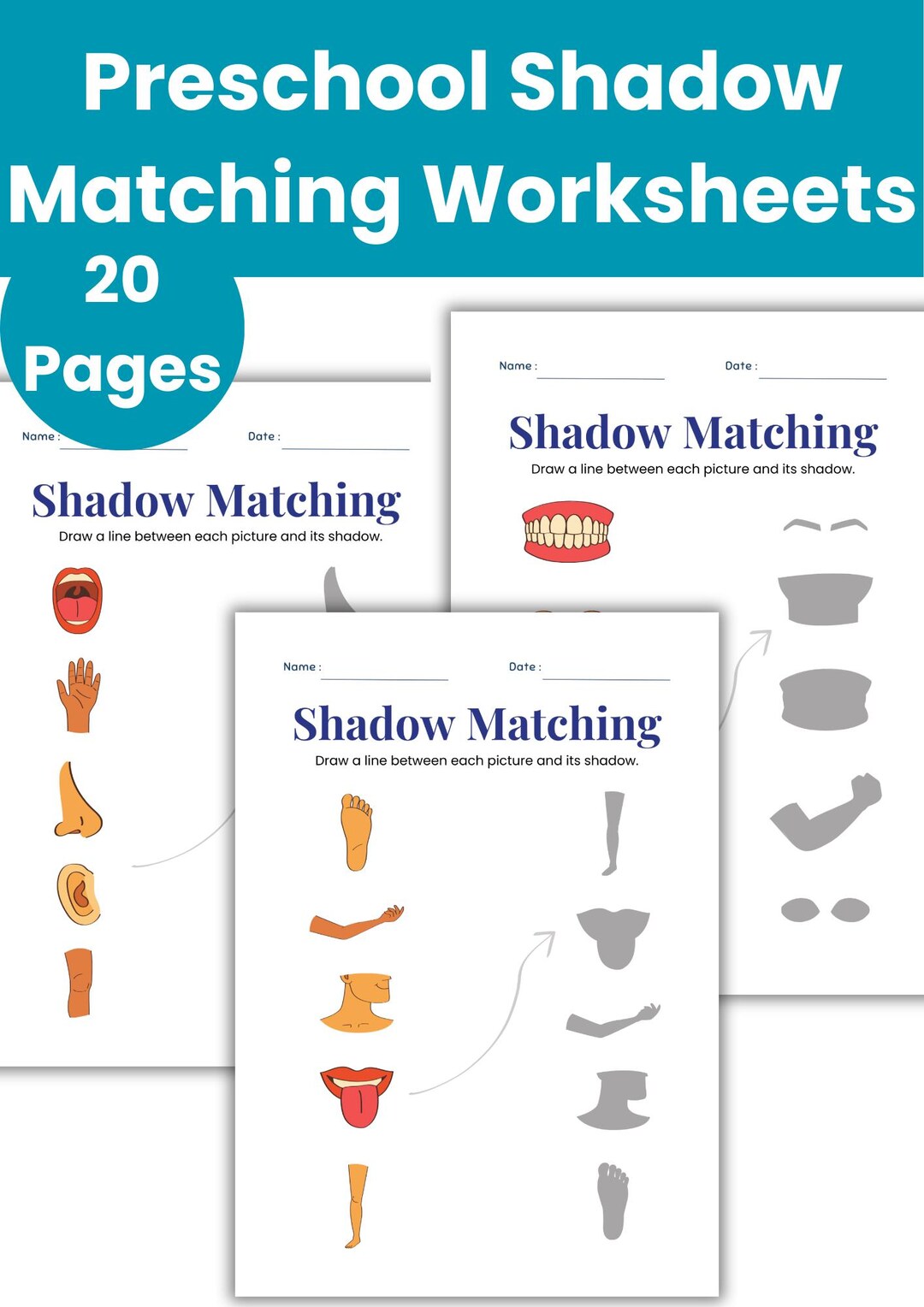 Preschool Shadow Matching Worksheets | Printable Kids Activity | 20 ...