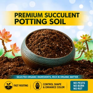 May include: A ceramic bowl filled with premium succulent potting soil, with the text "PREMIUM SUCCULENT POTTING SOIL". The image also includes succulent plants and text that reads "FAST ROOTING", "CONTROL SHAPE & ENHANCE COLOR", and "NO PESTS NO BURN NO ROT".