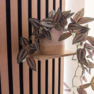 flottante beige mat pour mur à lattes acoustiques | Fixation par vis sécurisée