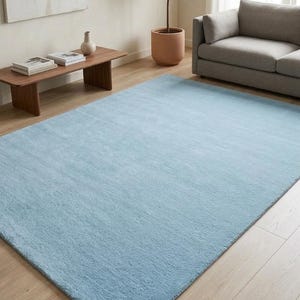 Peut inclure: Un grand tapis rectangulaire bleu clair. Le tapis a une texture douce et moelleuse et recouvre une partie importante du sol en bois. Le tapis est dans un salon, avec un canapé, une table basse et une plante en pot visibles.