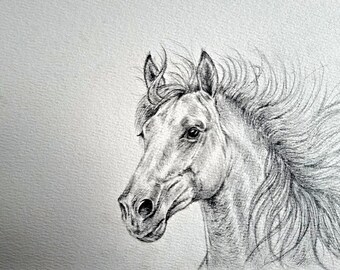 Original Horse Pencil Drawing | Graphite Horse Art | A4 Equestrian Wall Art | Handmade Animal Illustration | Signed Original Artwork
