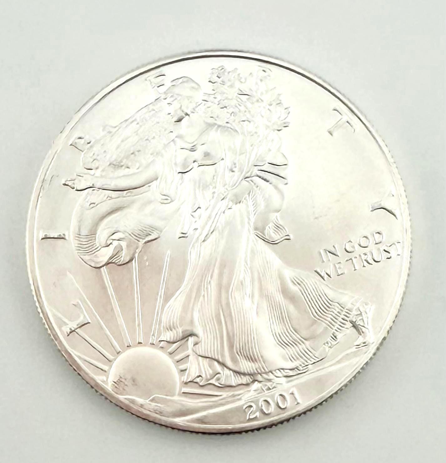 2001 Silver Eagle - Etsy