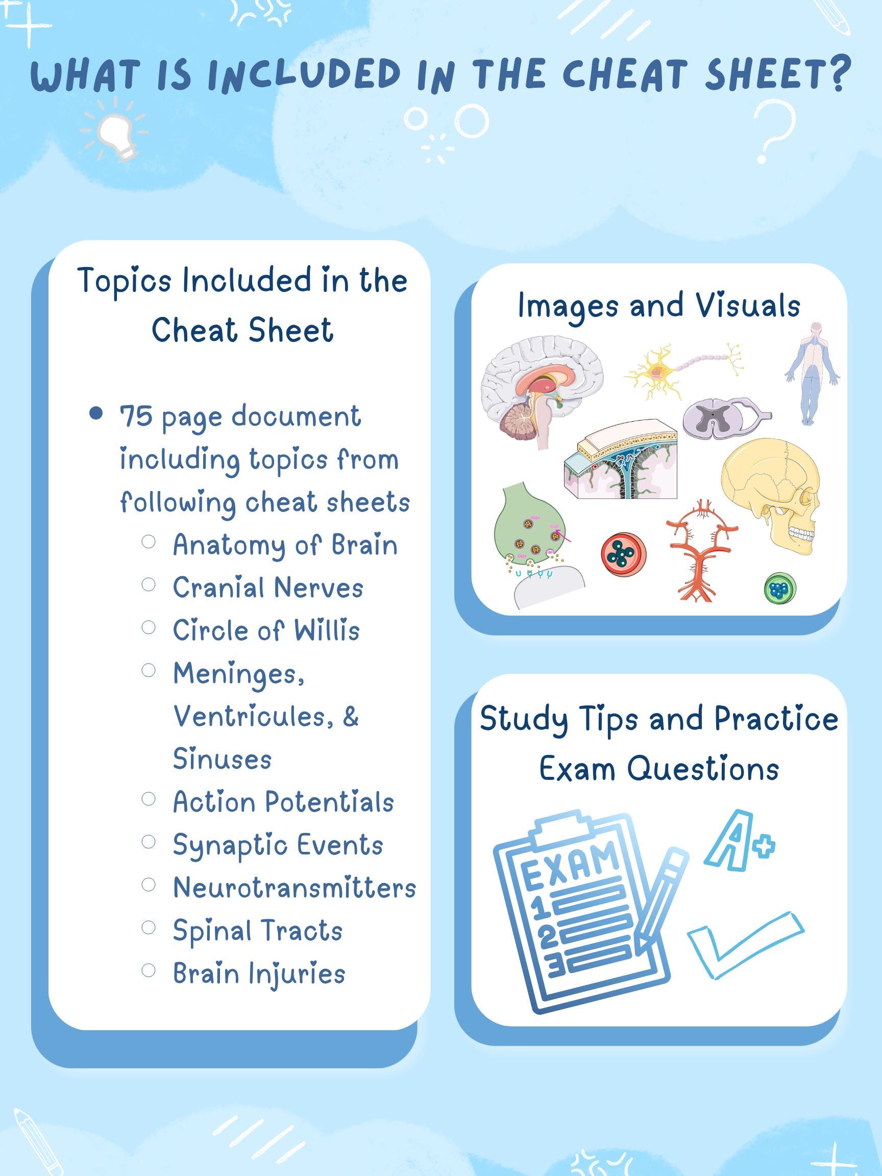 Ultimate Brain Bundle Cheat Sheet | 75 Pages of Anatomy, Physiology, Pathology | Nursing ...