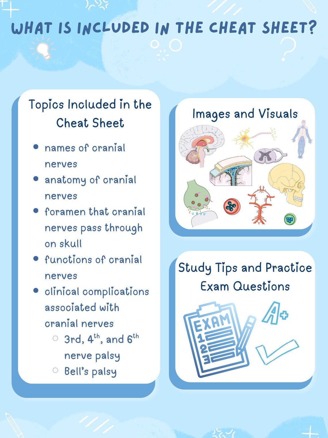 Cranial Nerves Cheat Sheet | Anatomy of the Brain | Nursing & Medical ...