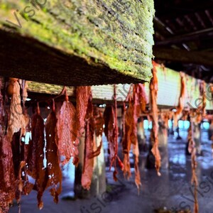 以下が含まれることがあります： 吊り下げられた赤褐色の海藻のある木造構造物のクローズアップ。木材は風化し、緑色の苔で覆われています。海藻が垂れ下がり、背景には水と桟橋の支柱があります。