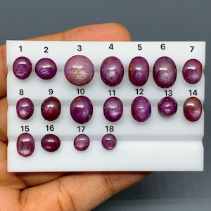 May include: A white display tray holding eighteen polished, oval-shaped, deep magenta-colored star rubies. Each gemstone is individually numbered from 1 to 18 in black text printed directly above the corresponding stone on the white surface.