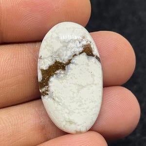 Peut inclure: Pierre de turquoise blanche de forme ovale avec des veines marron. La pierre a une surface polie et est tenue entre les doigts. Les zones blanches ont un aspect moucheté, et les veines marron créent un motif naturel.
