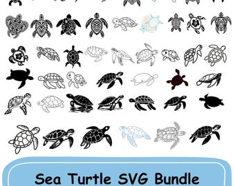 Havssköldpadda SVG-paket: Havsdjursdesigner - Cricut, Silhouette