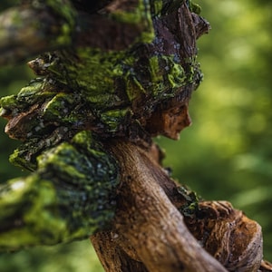 May include: A brown and green sculpture depicting a human-like figure with a textured, bark-like surface. The figure features a prominent headpiece covered in vibrant green moss-like patches and dark brown wood grain details, with a side profile view.