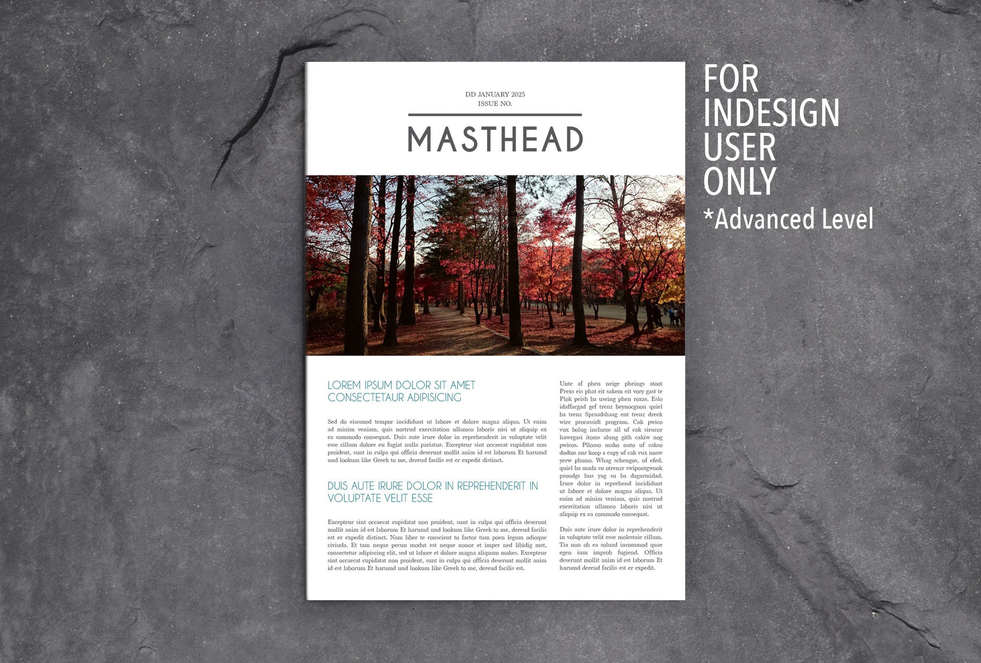 Business Newsletter Template 6pp Indesign Design 4 Etsy