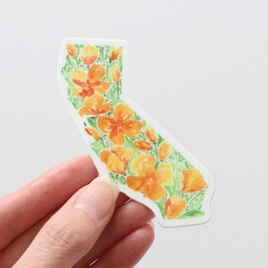 California sticker, CA poppy state flower, watercolor painting