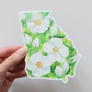 Georgia magnet, Cherokee Rose state flower, large magnet for car or fridge
