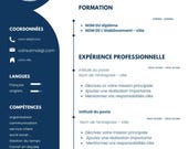 French CV Template, Modern Resume Template, Professional Resume, Editable CV Design, Instant Download, Job Application CV