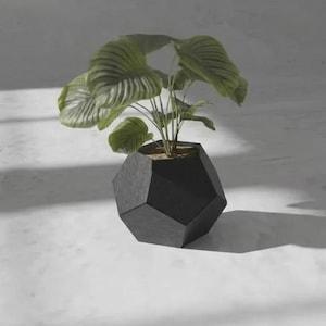 May include: A potted plant with large, textured, deep green leaves featuring prominent veins. The plant is housed in a matte black, geometric, multi-faceted planter with a distinct angular shape, resting on a light-colored surface.