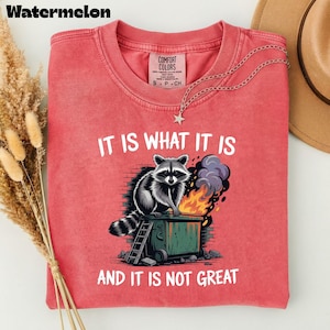 May include: Watermelon-colored t-shirt with the text "IT IS WHAT IT IS AND IT IS NOT GREAT." The graphic features a raccoon on a dumpster with flames and smoke. A silver necklace with a star pendant is draped on the shirt.