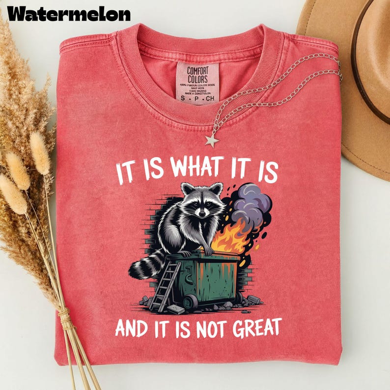 May include: Watermelon-colored t-shirt with the text "IT IS WHAT IT IS AND IT IS NOT GREAT." The graphic features a raccoon on a dumpster with flames and smoke. A silver necklace with a star pendant is draped on the shirt.