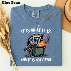 Sarcastic Dumpster Fire T-Shirt -Funny Saying Mental Health Shirt -It Is What It Is Dumpster Fire Raccoon T-shirt - Trash Panda Shirt Gift Blue Jean
