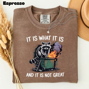 May include: Espresso-colored t-shirt with the text "IT IS WHAT IT IS AND IT IS NOT GREAT." The shirt features a graphic of a raccoon on a dumpster with flames. A silver necklace with a star pendant is draped on the shirt.