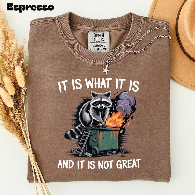May include: Espresso-colored t-shirt with the text "IT IS WHAT IT IS AND IT IS NOT GREAT." The shirt features a graphic of a raccoon on a dumpster with flames. A silver necklace with a star pendant is draped on the shirt.