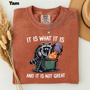 May include: Rust-colored t-shirt with a graphic of a raccoon on a dumpster fire. The text "IT IS WHAT IT IS AND IT IS NOT GREAT" is printed in white. A silver necklace with a star pendant and a brown hat are also visible.