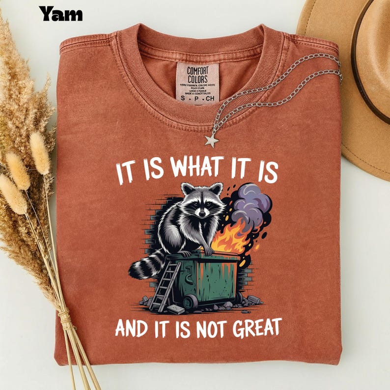 May include: Rust-colored t-shirt with a graphic of a raccoon on a dumpster fire. The text "IT IS WHAT IT IS AND IT IS NOT GREAT" is printed in white. A silver necklace with a star pendant and a brown hat are also visible.