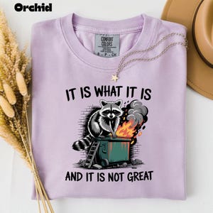 May include: A light purple t-shirt with the text "IT IS WHAT IT IS" and "AND IT IS NOT GREAT". The graphic features a raccoon sitting on a dumpster fire. A gold necklace with a star pendant is on the shirt.