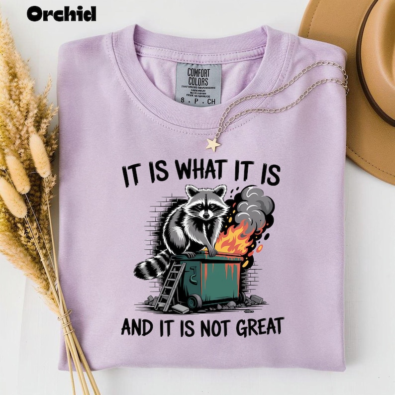 May include: A light purple t-shirt with the text "IT IS WHAT IT IS" and "AND IT IS NOT GREAT". The graphic features a raccoon sitting on a dumpster fire. A gold necklace with a star pendant is on the shirt.