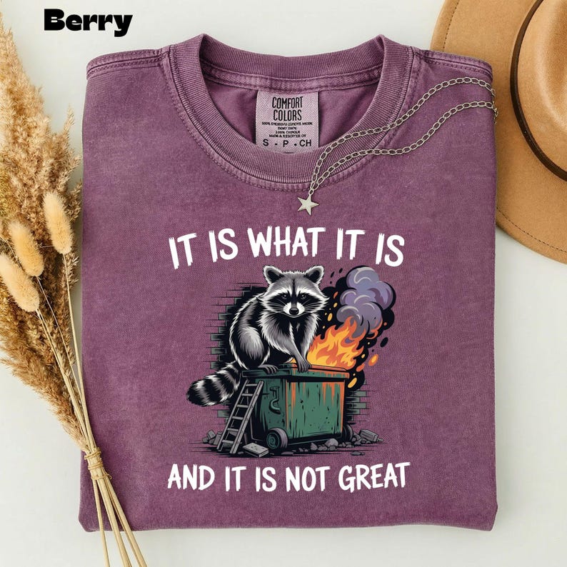 May include: Berry-colored t-shirt with a graphic of a raccoon sitting on a dumpster engulfed in flames. The text reads "IT IS WHAT IT IS AND IT IS NOT GREAT." A silver necklace with a star pendant is draped on the shirt.