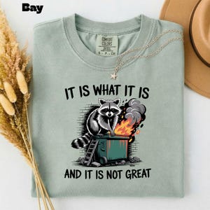 May include: A light green t-shirt with the text "IT IS WHAT IT IS AND IT IS NOT GREAT" and a graphic of a raccoon sitting on a dumpster with flames. A silver necklace with a star pendant is on the shirt.