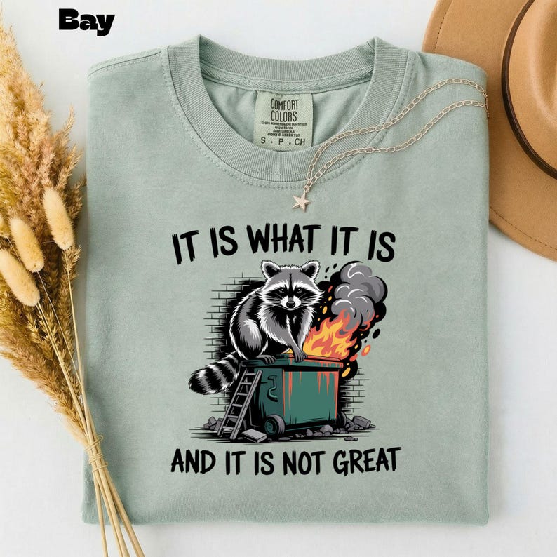 May include: A light green t-shirt with the text "IT IS WHAT IT IS AND IT IS NOT GREAT" and a graphic of a raccoon sitting on a dumpster with flames. A silver necklace with a star pendant is on the shirt.