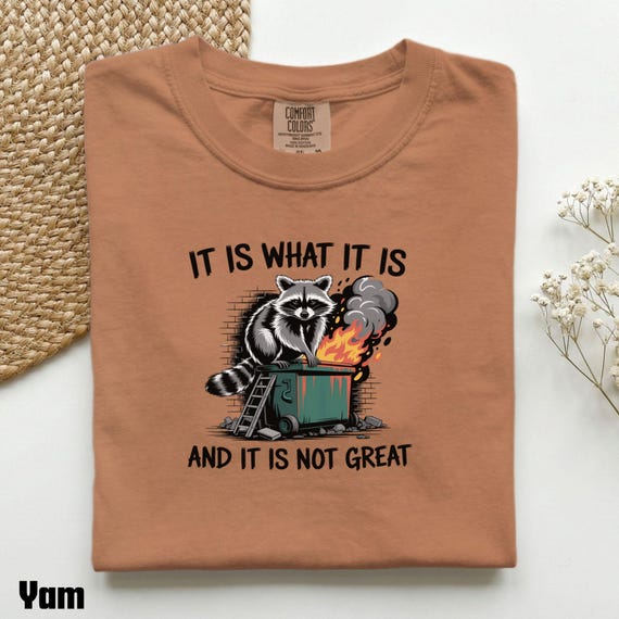 It Is What It Is Dumpster Fire Raccoon T-shirt |Funny Sarcastic Tee, Comfort Color, Dumpster Fire Shirt, Street Relief Gift, Relatable Shirt