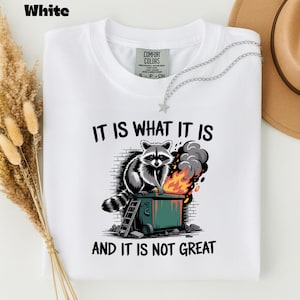 May include: White t-shirt with a graphic of a raccoon sitting on a dumpster fire. The text reads "IT IS WHAT IT IS AND IT IS NOT GREAT". The shirt has a crew neck and short sleeves.