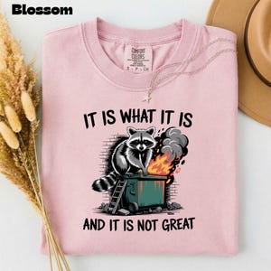 May include: A light pink t-shirt with the text "IT IS WHAT IT IS AND IT IS NOT GREAT" and a graphic of a raccoon sitting on a dumpster fire. The shirt has a crew neck and short sleeves.