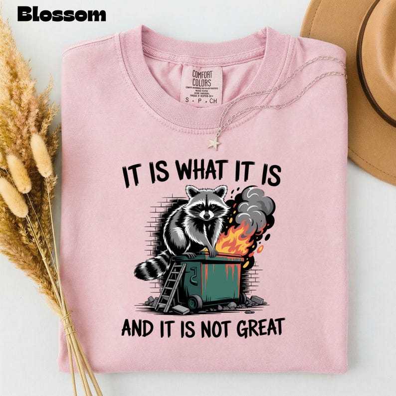 May include: A light pink t-shirt with the text "IT IS WHAT IT IS AND IT IS NOT GREAT" and a graphic of a raccoon sitting on a dumpster fire. The shirt has a crew neck and short sleeves.