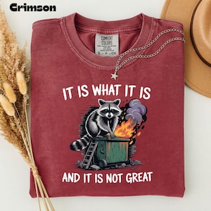 May include: Crimson-colored t-shirt with the text "IT IS WHAT IT IS AND IT IS NOT GREAT" and a graphic of a raccoon on a dumpster fire. The shirt has a crew neck and short sleeves. A silver necklace with a star pendant is draped on the shirt.
