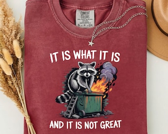 Camiseta sarcástica de incendio en un contenedor de basura - Camiseta divertida sobre salud mental - Camiseta "Es lo que es" de mapache en un contenedor de basura - Regalo de camiseta de mapache de la basura