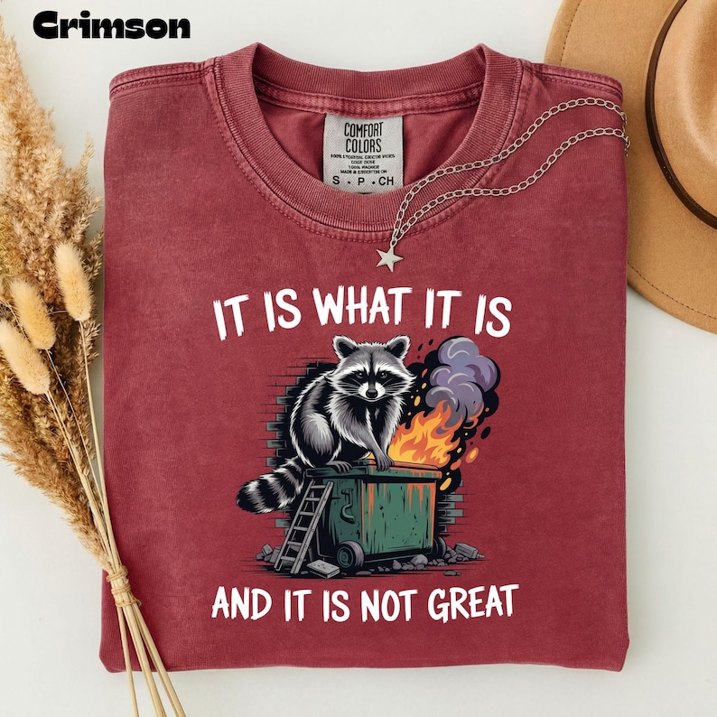 May include: Crimson-colored t-shirt with the text "IT IS WHAT IT IS AND IT IS NOT GREAT" and a graphic of a raccoon on a dumpster fire. The shirt has a crew neck and short sleeves. A silver necklace with a star pendant is draped on the shirt.