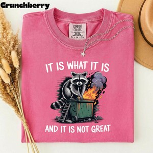 May include: Pink t-shirt with the text "IT IS WHAT IT IS AND IT IS NOT GREAT". The graphic shows a raccoon on a dumpster with flames and smoke. A silver necklace with a star pendant is on the shirt.