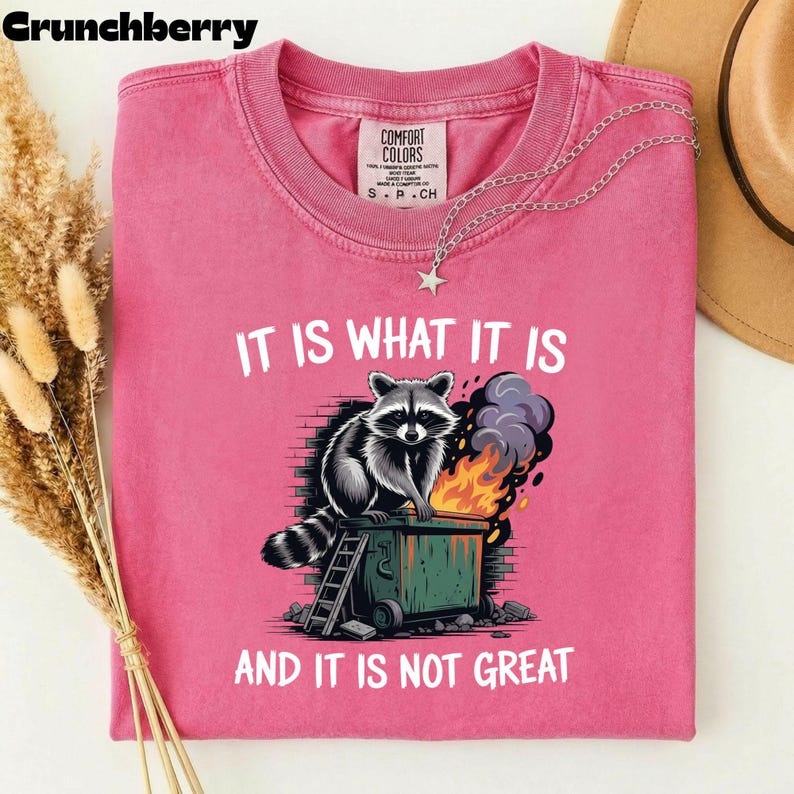 May include: Pink t-shirt with the text "IT IS WHAT IT IS AND IT IS NOT GREAT". The graphic shows a raccoon on a dumpster with flames and smoke. A silver necklace with a star pendant is on the shirt.