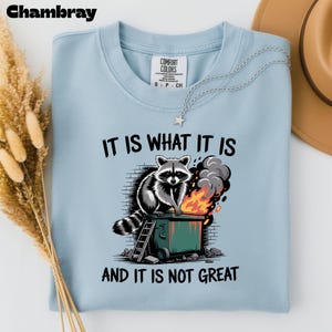 Sarcastic Dumpster Fire T-Shirt -Funny Saying Mental Health Shirt -It Is What It Is Dumpster Fire Raccoon T-shirt - Trash Panda Shirt Gift Chambray