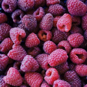 May include: A large collection of fresh raspberries, each featuring a vibrant red color and a textured, bumpy surface. The berries are clustered together, showing their hollow centers and rounded shapes in a dense, uniform arrangement.