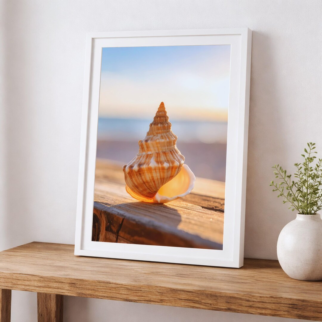 Seashell Wall Art, Coastal Wall Decor - Beach House Print - Etsy