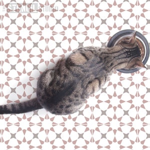 Puede incluir: Un gato atigrado comiendo de un cuenco de acero inoxidable en un suelo blanco con un patrón geométrico de estrellas rosas y grises.