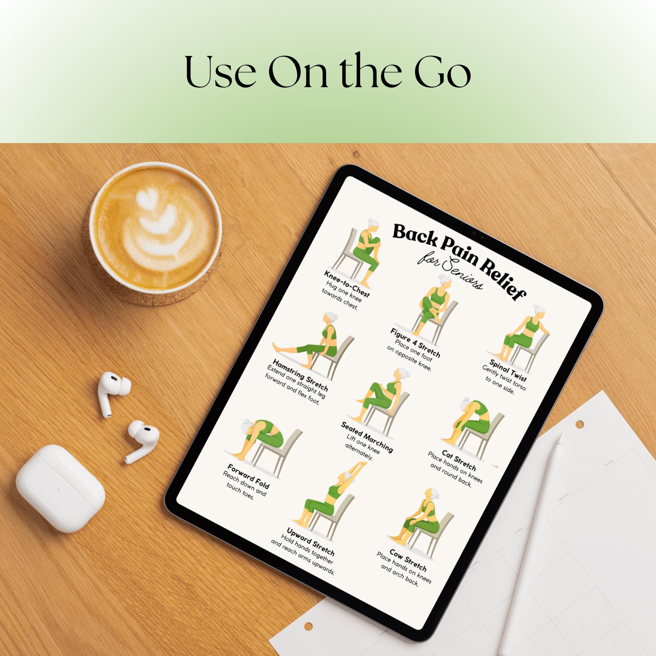 Back Pain Relief Exercises for Seniors | Chair Yoga Chart | Back ...