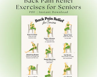 Back Pain Relief Exercises for Seniors | Chair Yoga Chart | Back Exercise Poster | Chair Stretching Routine | Lower Back Exercises | PDF
